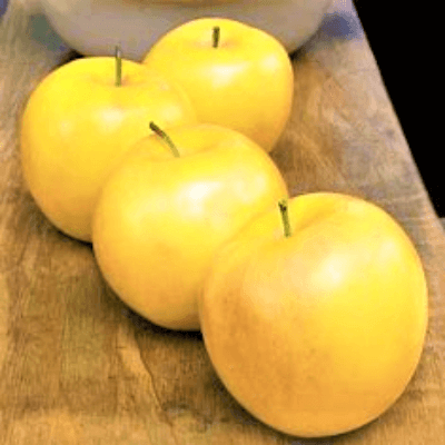 Apple Golden 500g