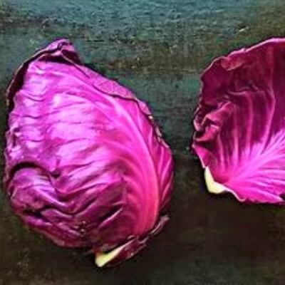 Cabbage Red 500g
