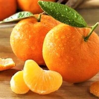 Mandarine 500g