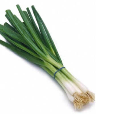 Spring Onion