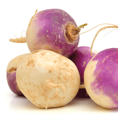 Turnip