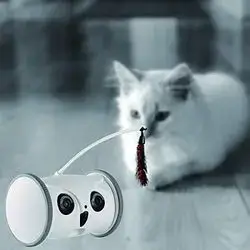 Skymee Owl Robot
