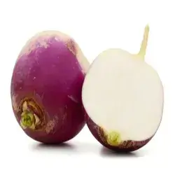 Turnip