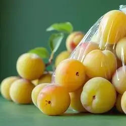 Yellow Plum