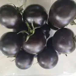 Black Tomatoes