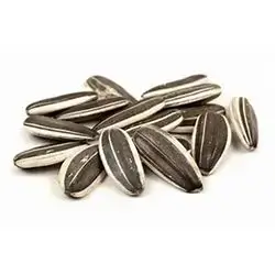 Sunflower Seeds Kg