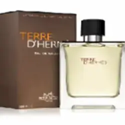 Eau De Toilette By Terre D Hermes For Men . 100Ml