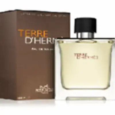 Eau De Toilette By Terre D Hermes For Men . 100Ml