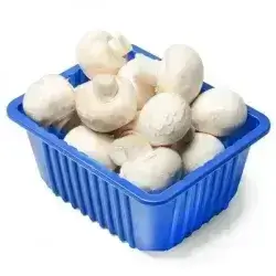 قارچک