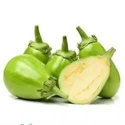 Green eggplant