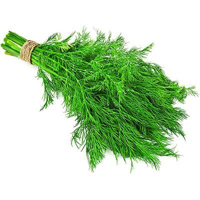 Dill