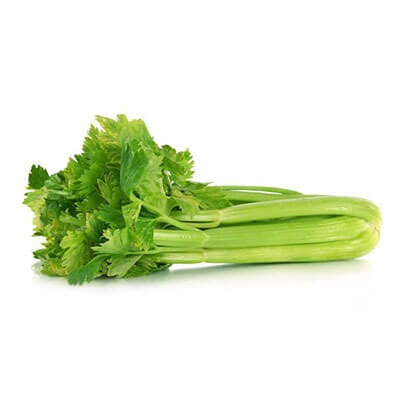 Persian Celery