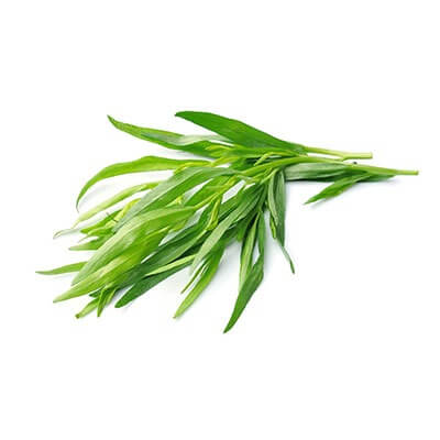 Tarragon