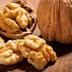 American Walnut