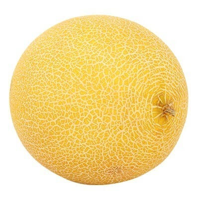 Melon