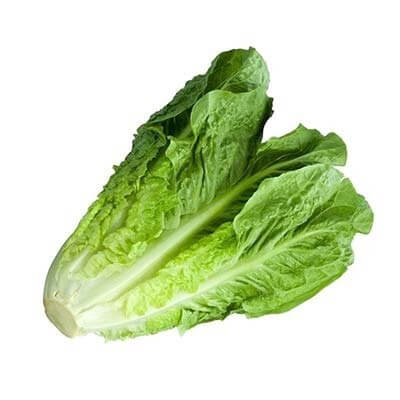 Lettuce