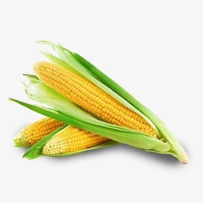 Corn
