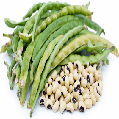Black-eyed pea