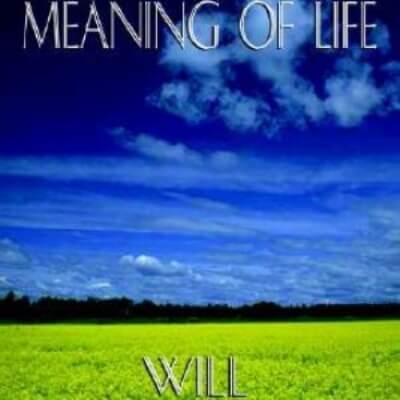 On the Meaning of Life