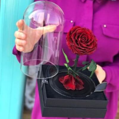 Forever Rose with VIP Box  1