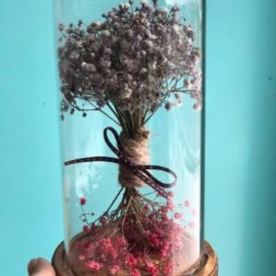 Natural Dried Flowers