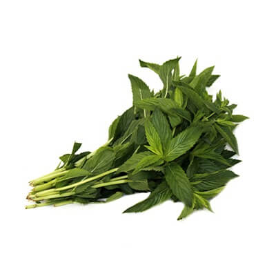 Mint