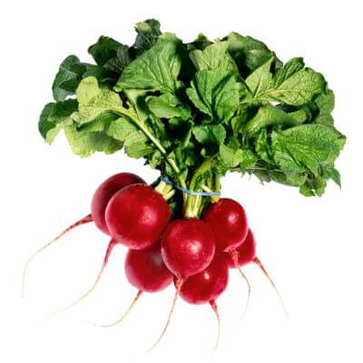 Radish