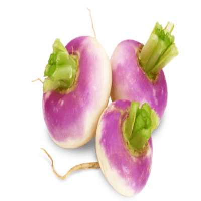 Turnip