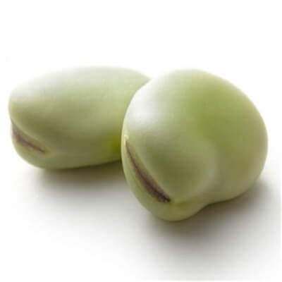 Broad Bean