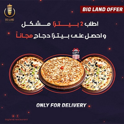 2 Mixed Pizza