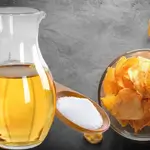 Vinegar and Salted Chips