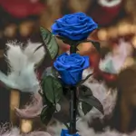 Forever rose