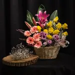 Basket Flower
