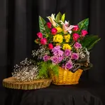 Basket Flower