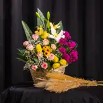 Basket Flower