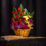 Basket Flower