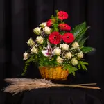 Basket Flower