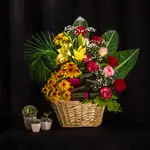 Basket Flower