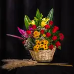 Basket Flower