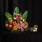 Basket Flower
