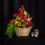 Basket Flower