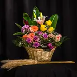 Basket Flower