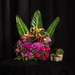 Basket Flower