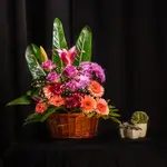 Basket Flower