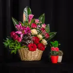 Basket Flower