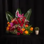Basket Flower