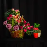Basket Flower