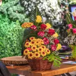 Basket Flower