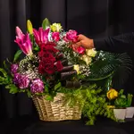 Basket Flower