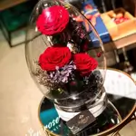 Forever rose